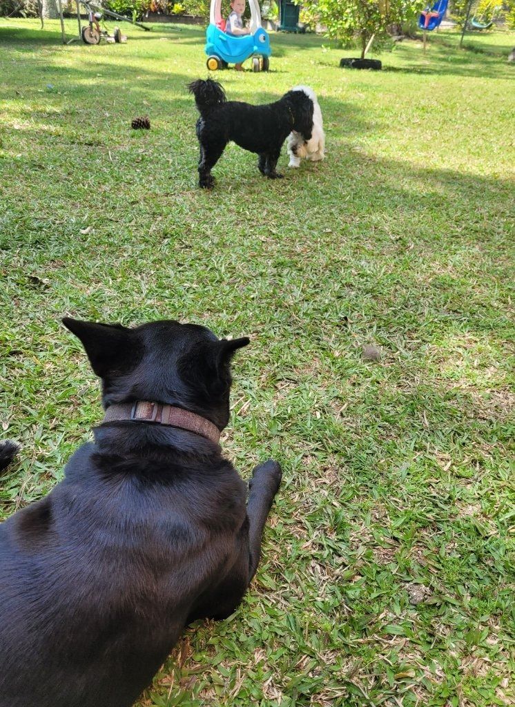 image-42