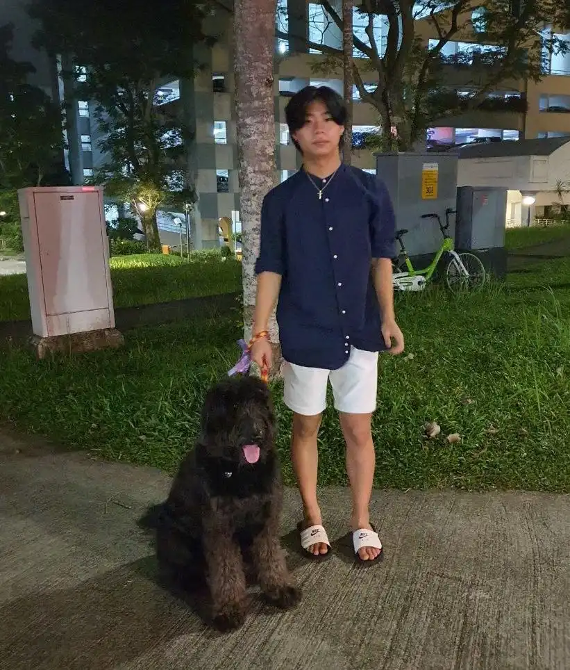image-5